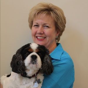 Meet your Posher, Lynne